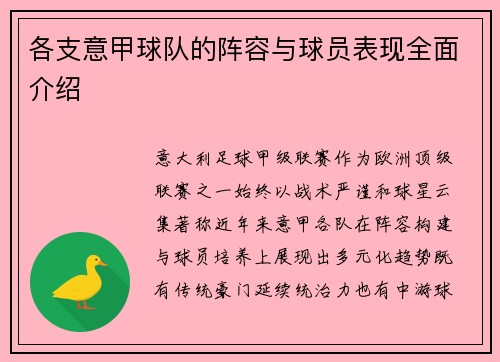 各支意甲球队的阵容与球员表现全面介绍