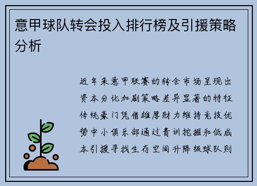 意甲球队转会投入排行榜及引援策略分析