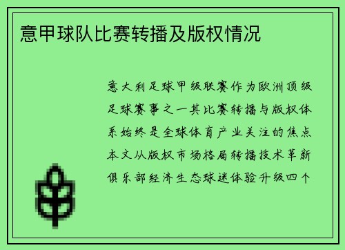 意甲球队比赛转播及版权情况