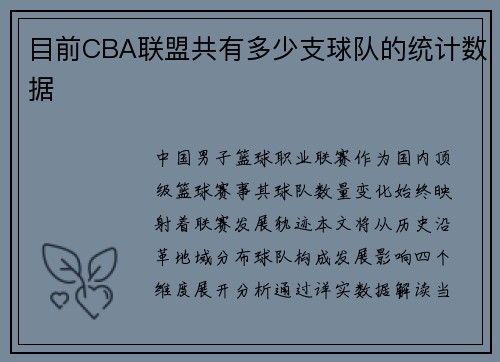 目前CBA联盟共有多少支球队的统计数据